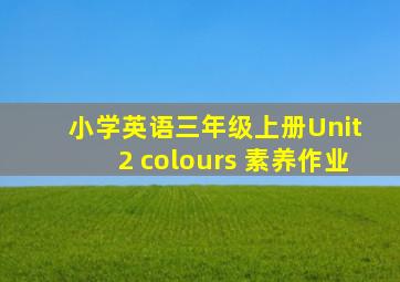 小学英语三年级上册Unit 2 colours 素养作业